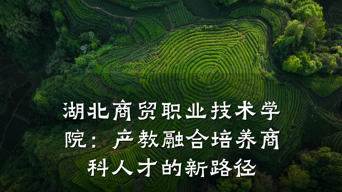 湖北商贸职业技术学院:产教融合培养商科人才的新路径