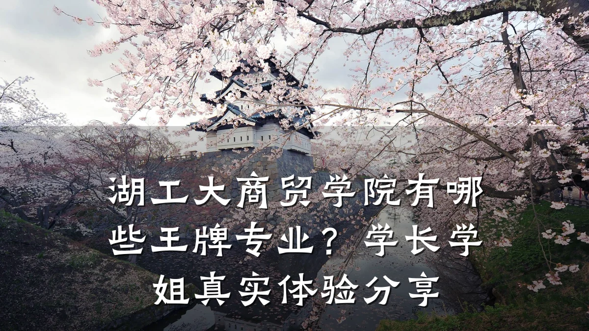 湖工大商贸学院有哪些王牌专业?学长学姐真实体验分享