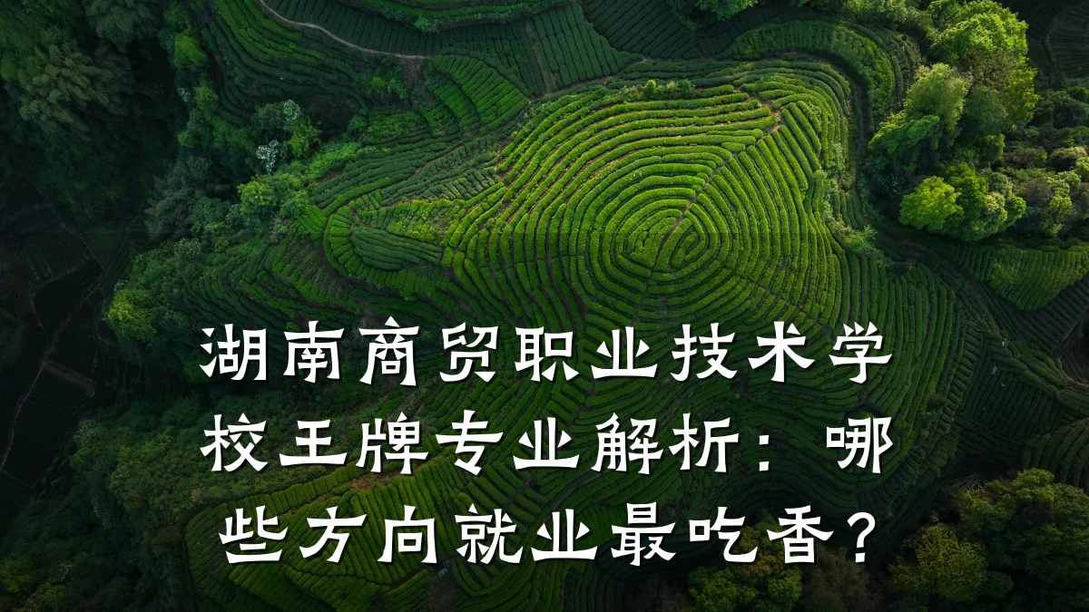 湖南商贸职业技术学校王牌专业解析:哪些方向就业最吃香?