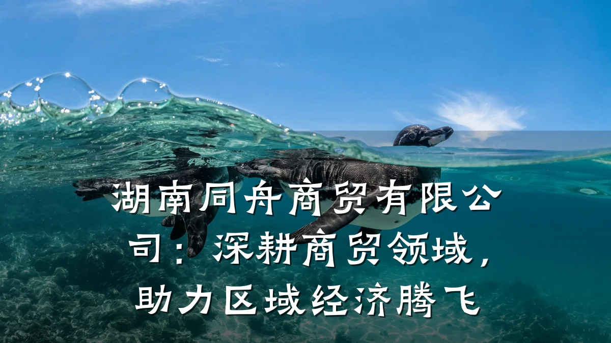 湖南同舟商贸有限公司：深耕商贸领域，助力区域经济腾飞