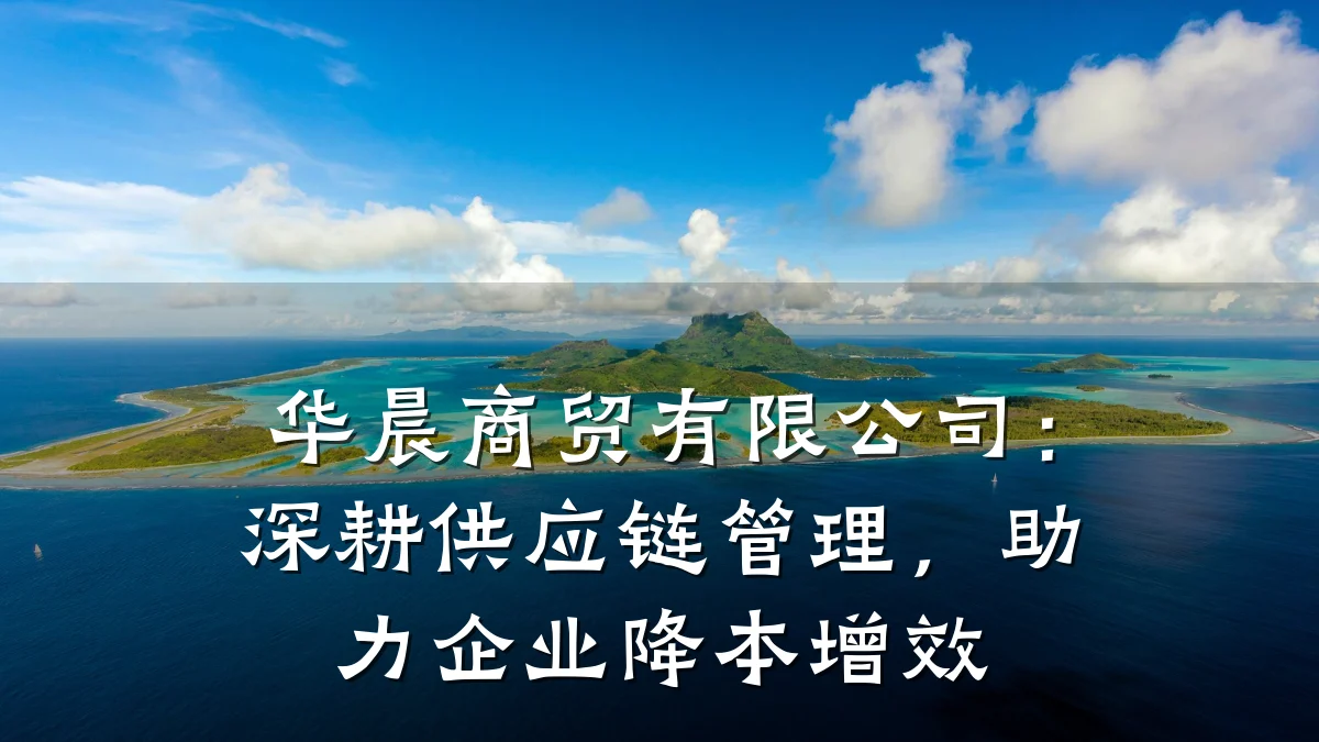 华晨商贸有限公司：深耕供应链管理，助力企业降本增效