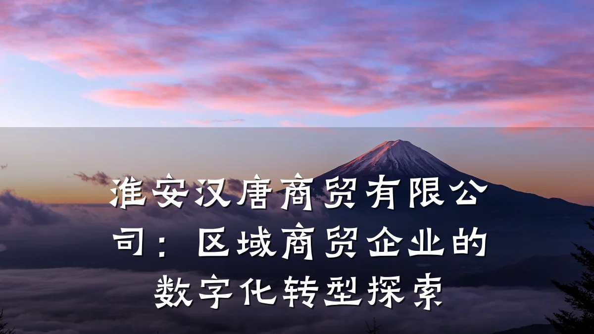 淮安汉唐商贸有限公司：区域商贸企业的数字化转型探索