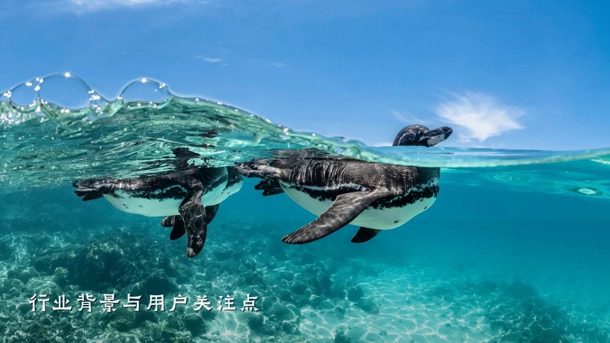 行业背景与用户关注点