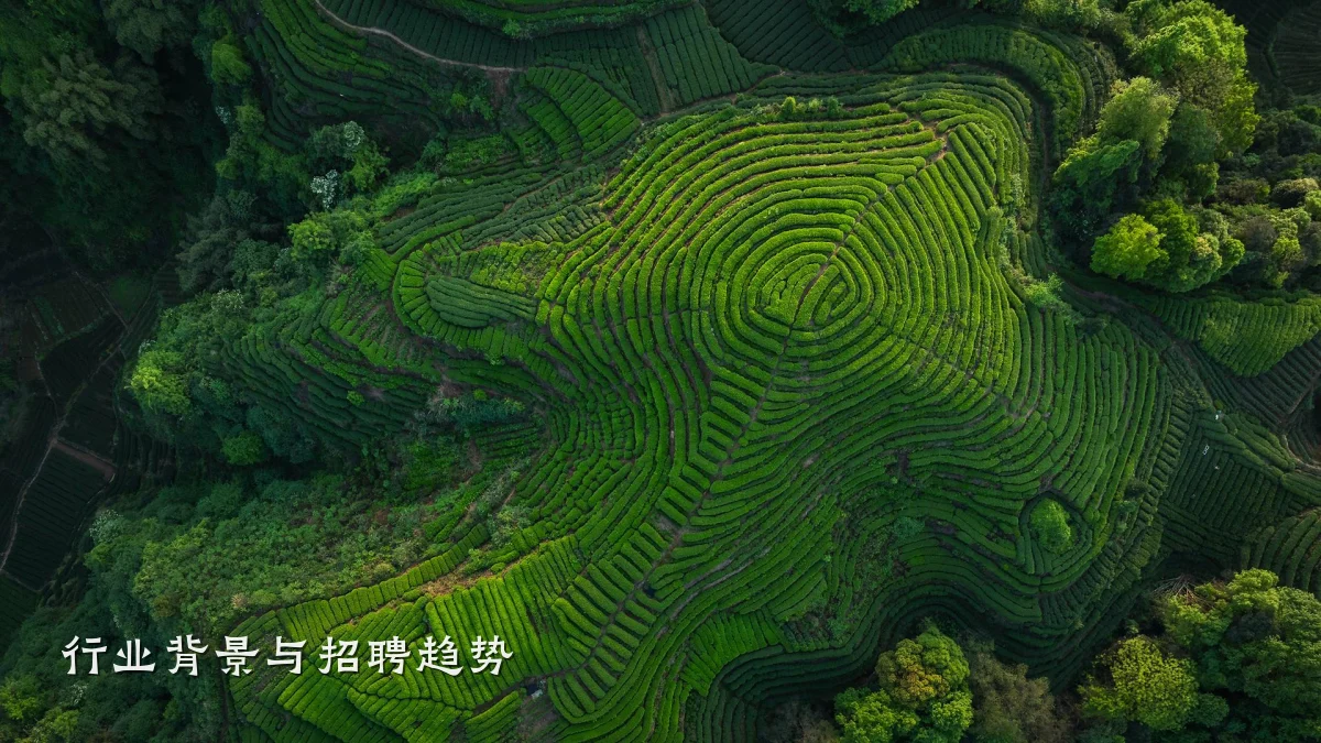 行业背景与招聘趋势