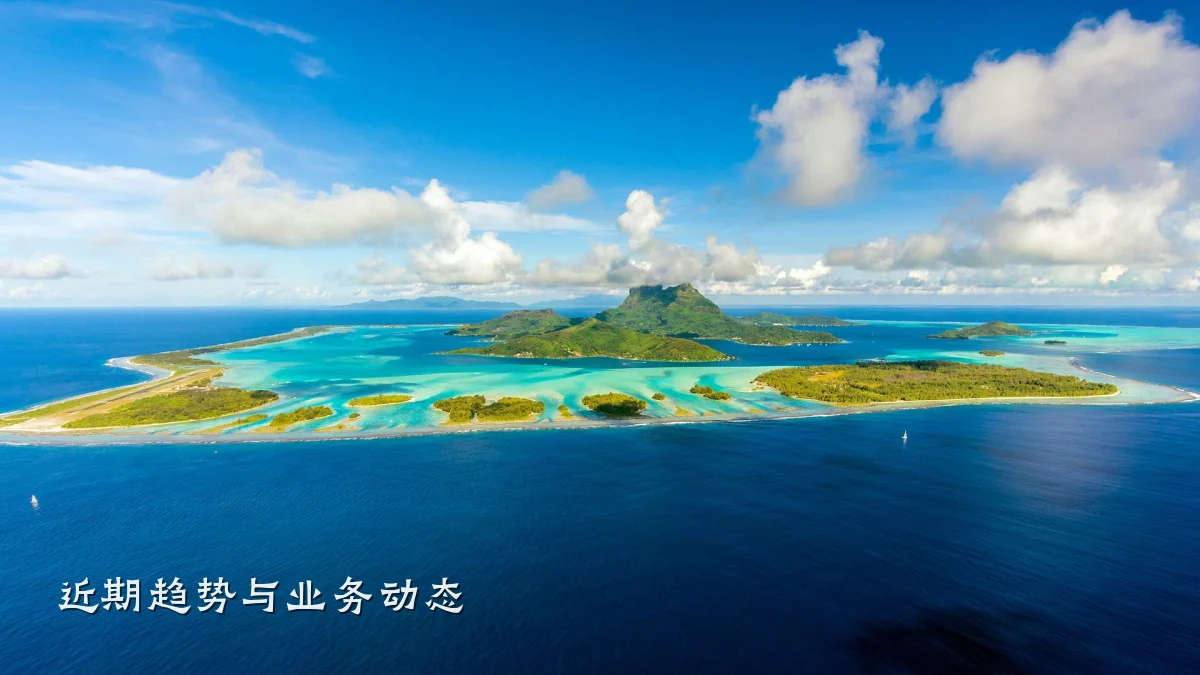 近期趋势与业务动态