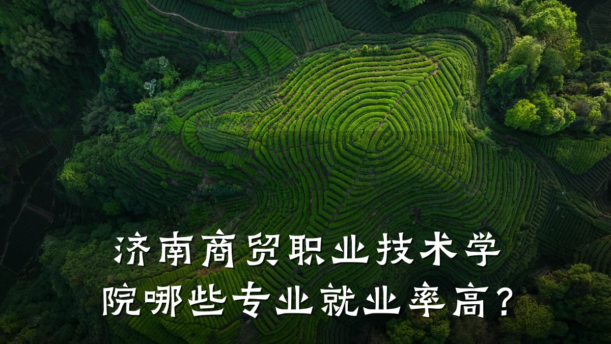 济南商贸职业技术学院哪些专业就业率高?