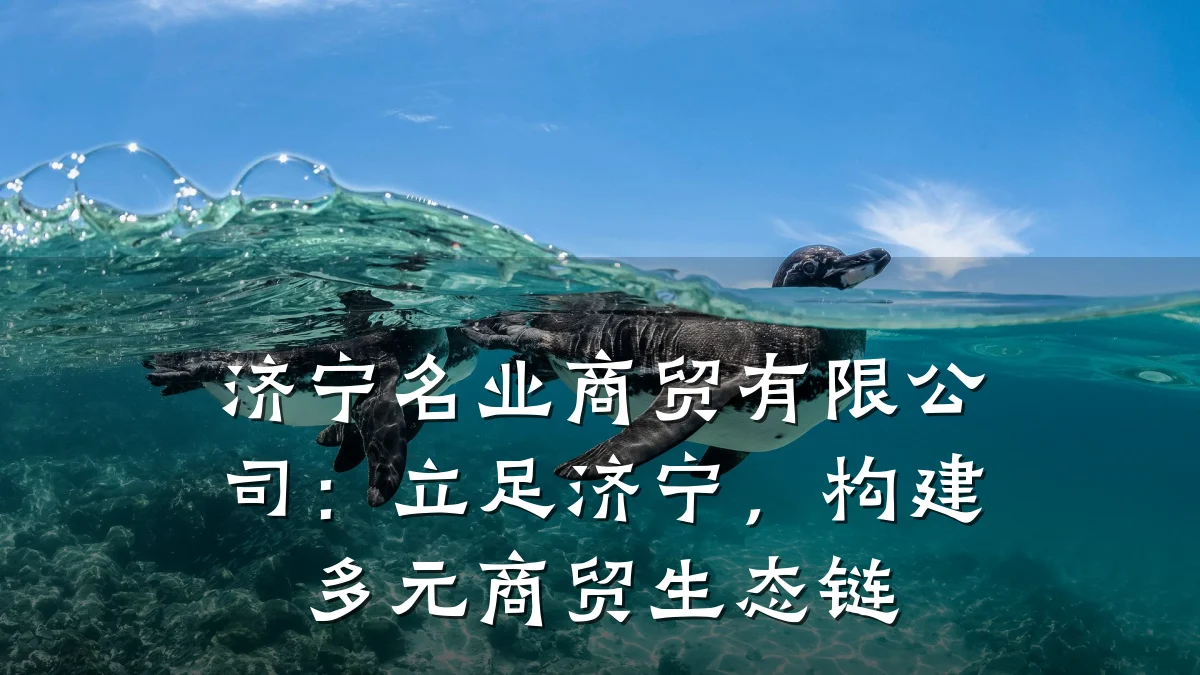 济宁名业商贸有限公司：立足济宁，构建多元商贸生态链