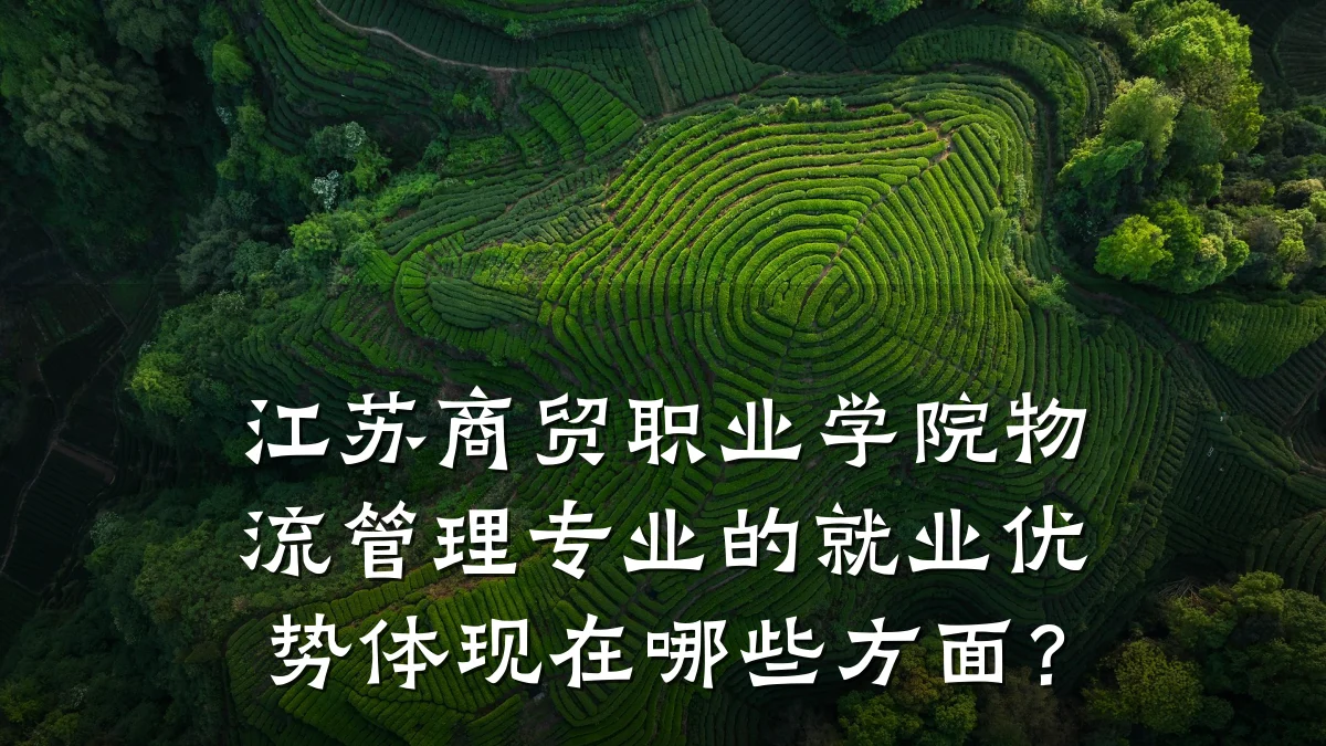 江苏商贸职业学院物流管理专业的就业优势体现在哪些方面?