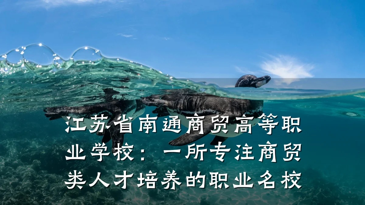 江苏省南通商贸高等职业学校:一所专注商贸类人才培养的职业名校