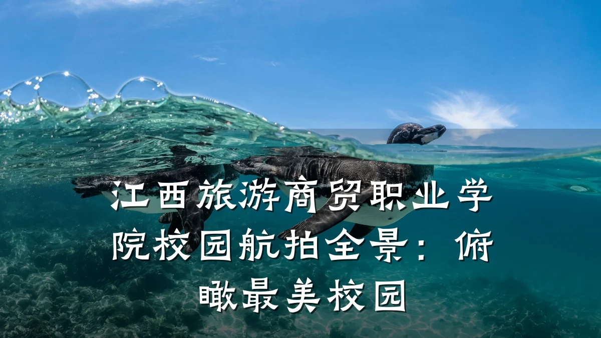 江西旅游商贸职业学院校园航拍全景:俯瞰最美校园