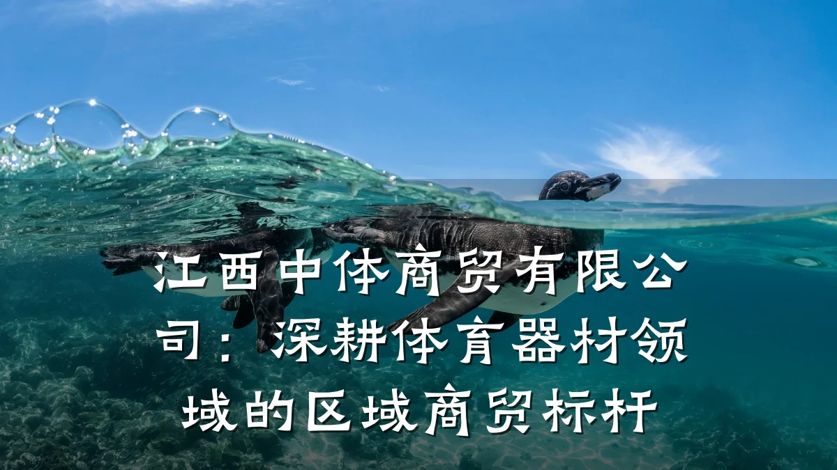 江西中体商贸有限公司:深耕体育器材领域的区域商贸标杆