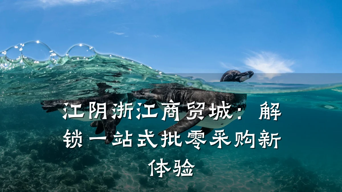 江阴浙江商贸城:解锁一站式批零采购新体验
