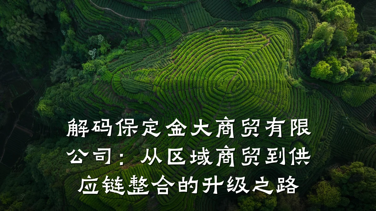 解码保定金大商贸有限公司:从区域商贸到供应链整合的升级之路