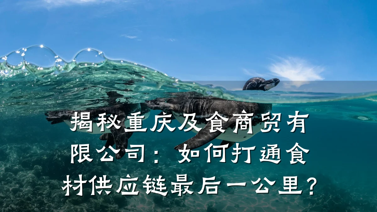 揭秘重庆及食商贸有限公司:如何打通食材供应链最后一公里?