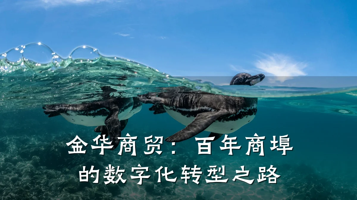 金华商贸:百年商埠的数字化转型之路