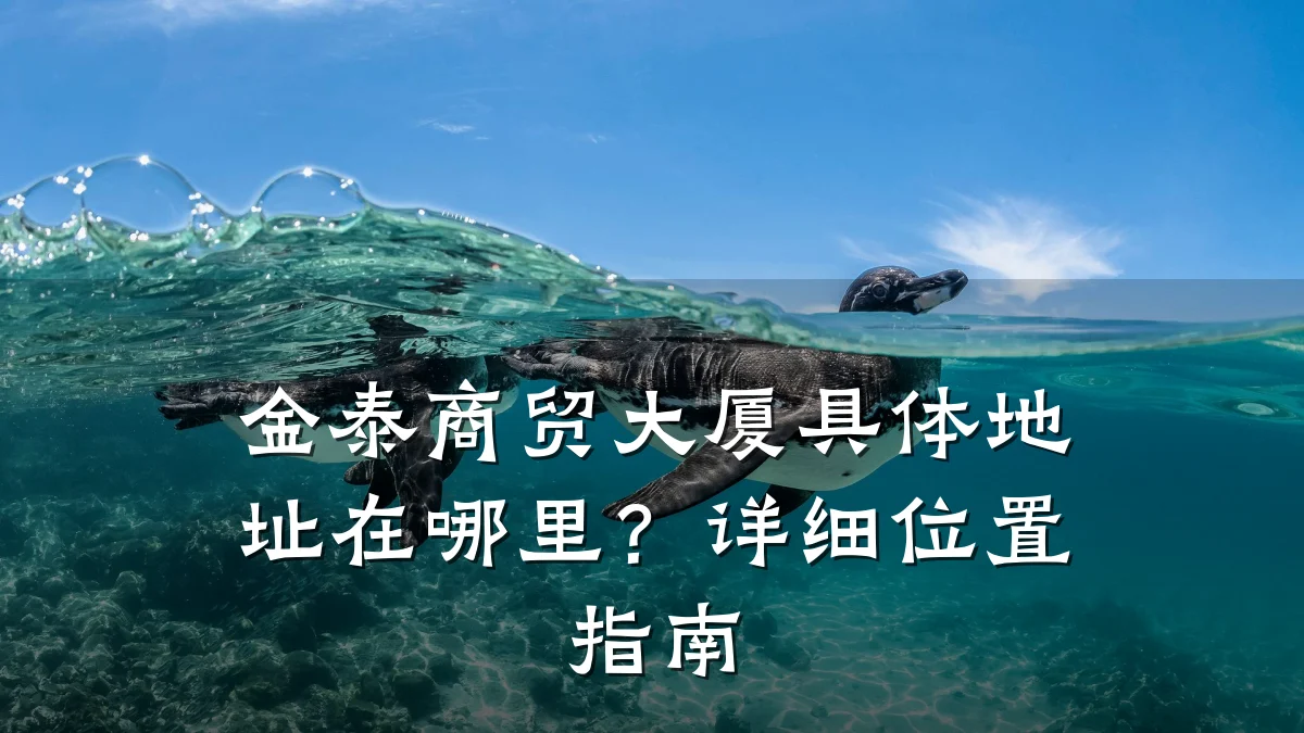 金泰商贸大厦具体地址在哪里?详细位置指南