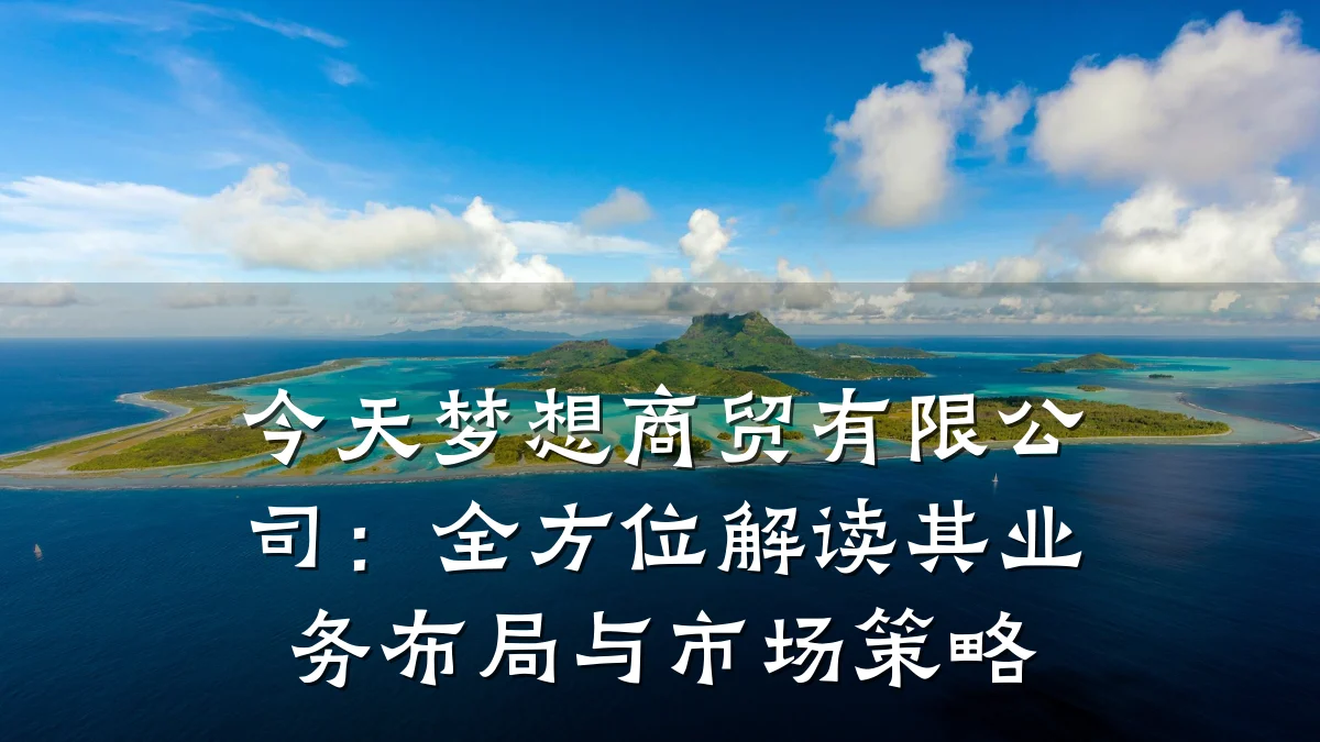 今天梦想商贸有限公司：全方位解读其业务布局与市场策略