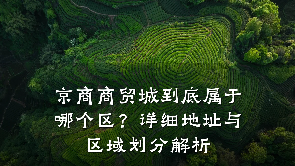 京商商贸城到底属于哪个区？详细地址与区域划分解析