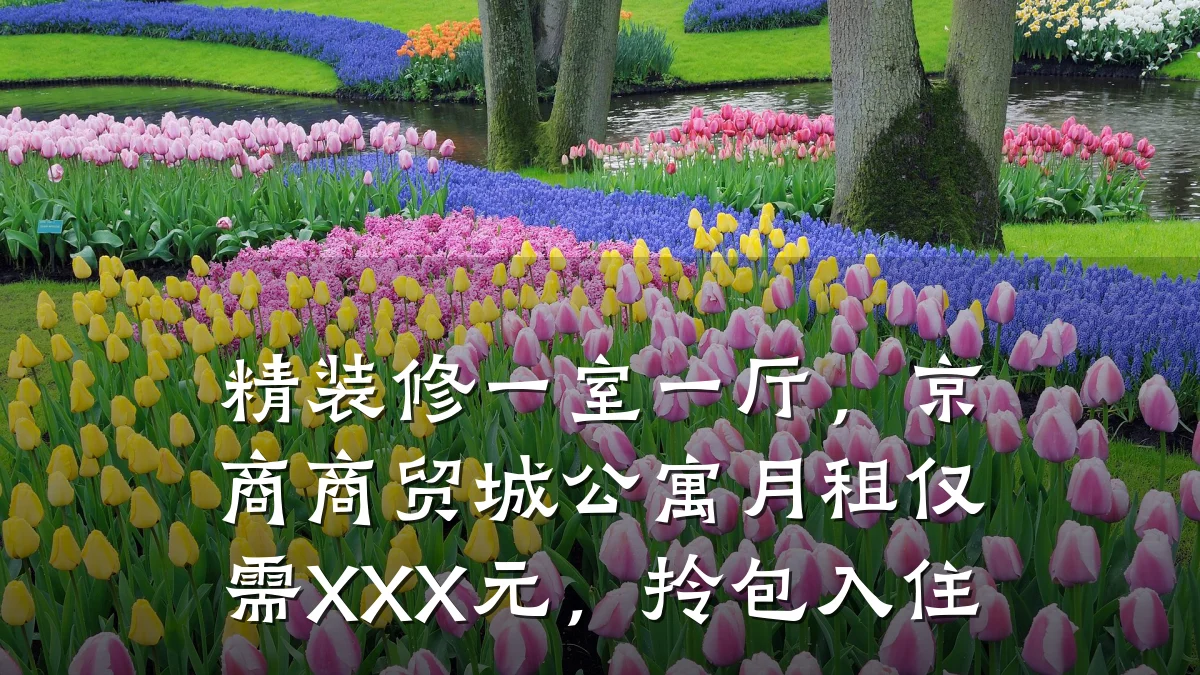 精装修一室一厅，京商商贸城公寓月租仅需XXX元，拎包入住