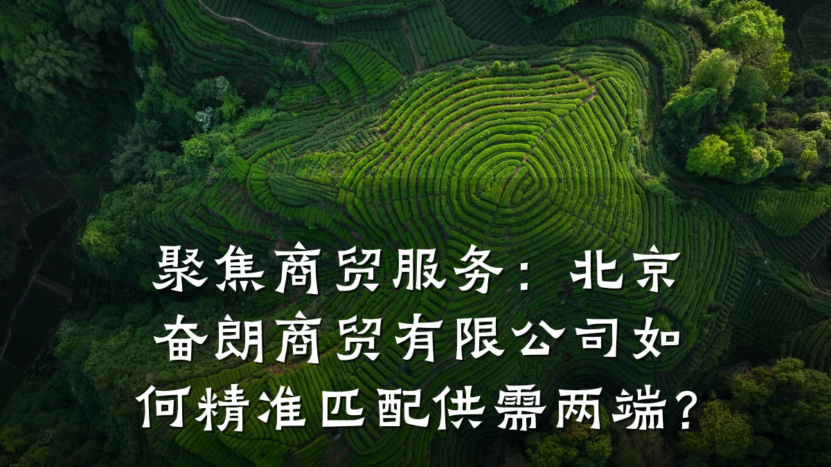 聚焦商贸服务:北京奋朗商贸有限公司如何精准匹配供需两端?