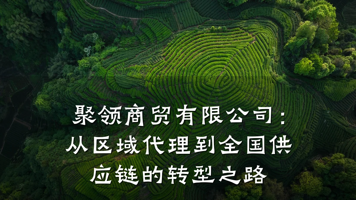聚领商贸有限公司：从区域代理到全国供应链的转型之路