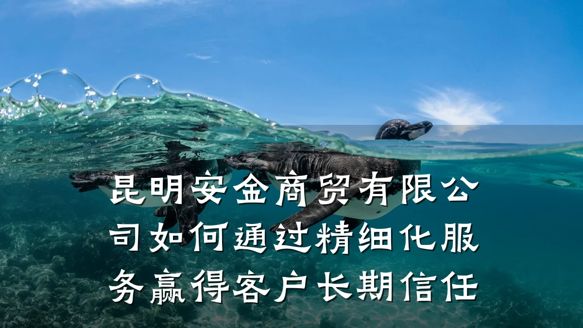 昆明安金商贸有限公司如何通过精细化服务赢得客户长期信任