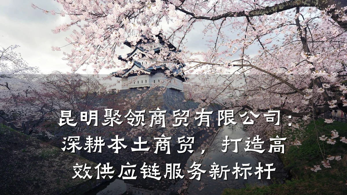 昆明聚领商贸有限公司:深耕本土商贸,打造高效供应链服务新标杆