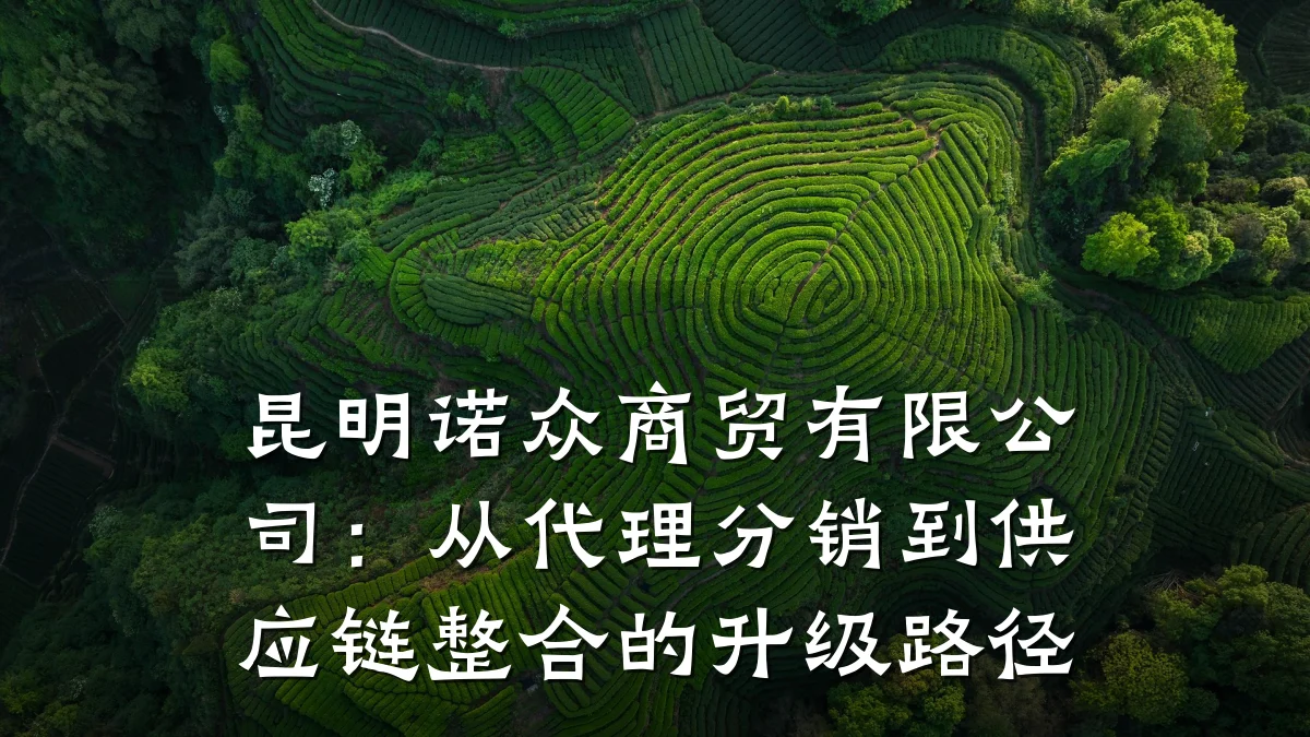 昆明诺众商贸有限公司:从代理分销到供应链整合的升级路径