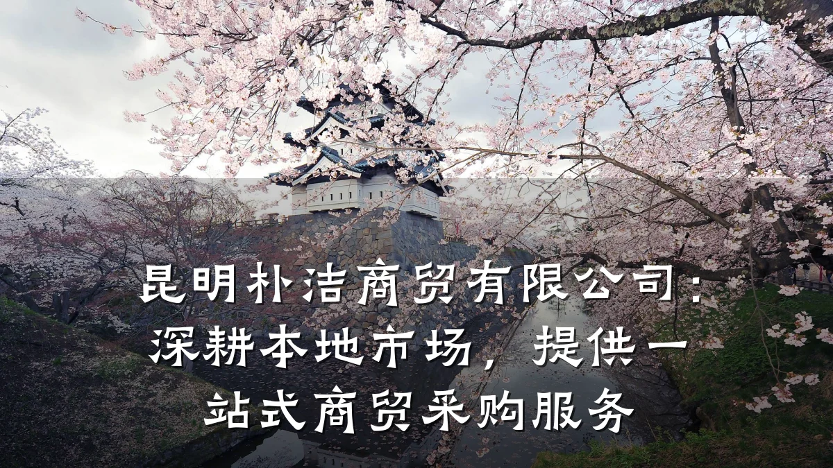 昆明朴洁商贸有限公司：深耕本地市场，提供一站式商贸采购服务