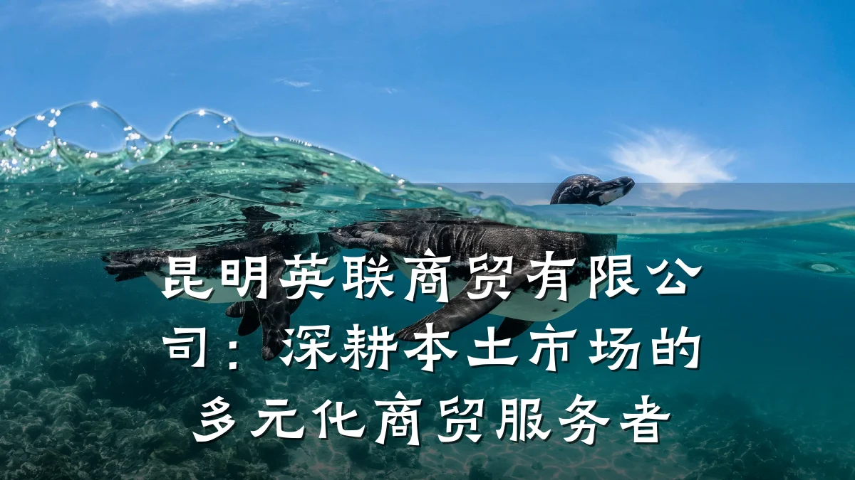 昆明英联商贸有限公司:深耕本土市场的多元化商贸服务者