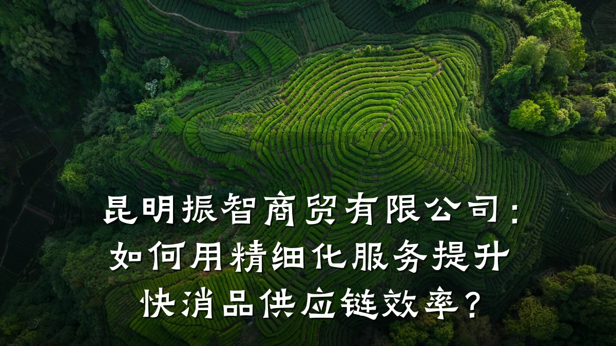 昆明振智商贸有限公司:如何用精细化服务提升快消品供应链效率?