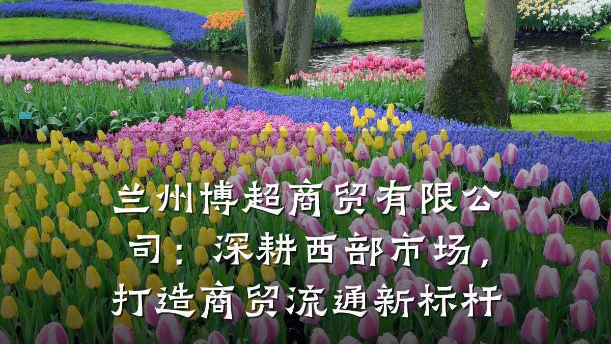 兰州博超商贸有限公司:深耕西部市场,打造商贸流通新标杆
