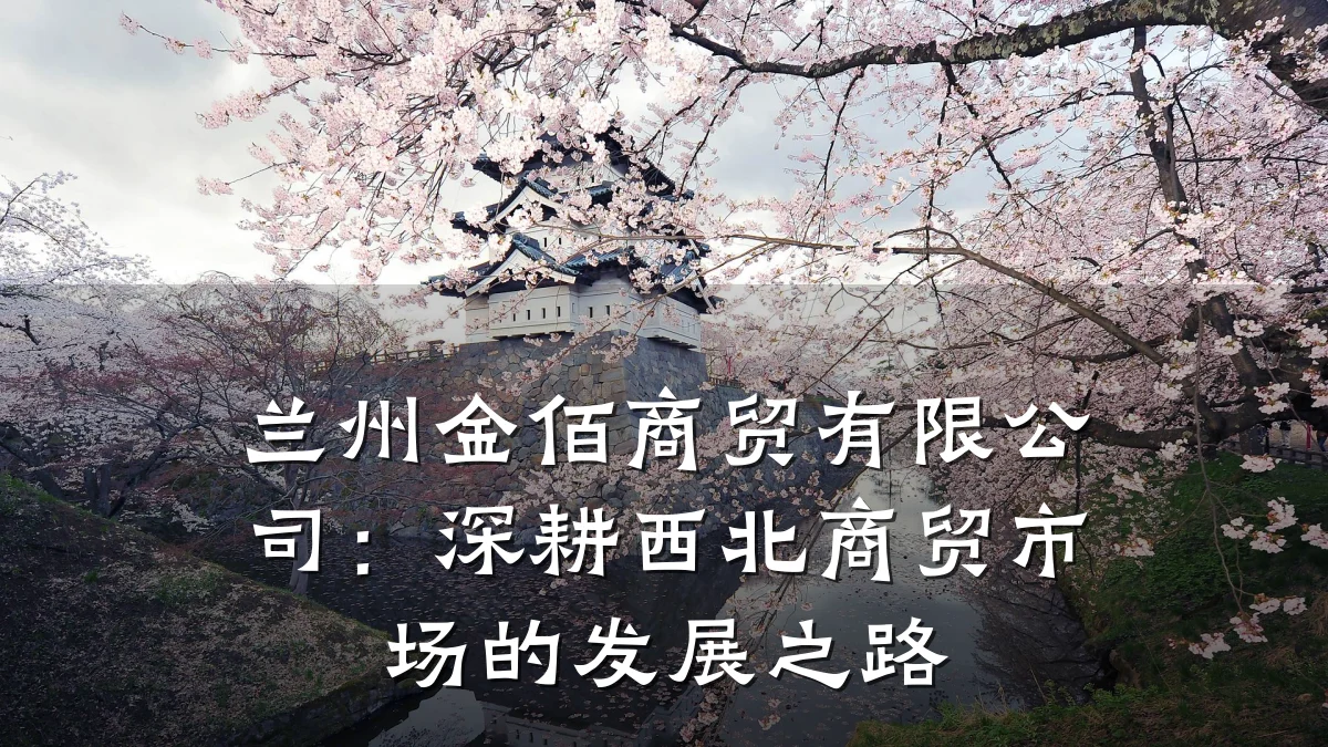 兰州金佰商贸有限公司:深耕西北商贸市场的发展之路