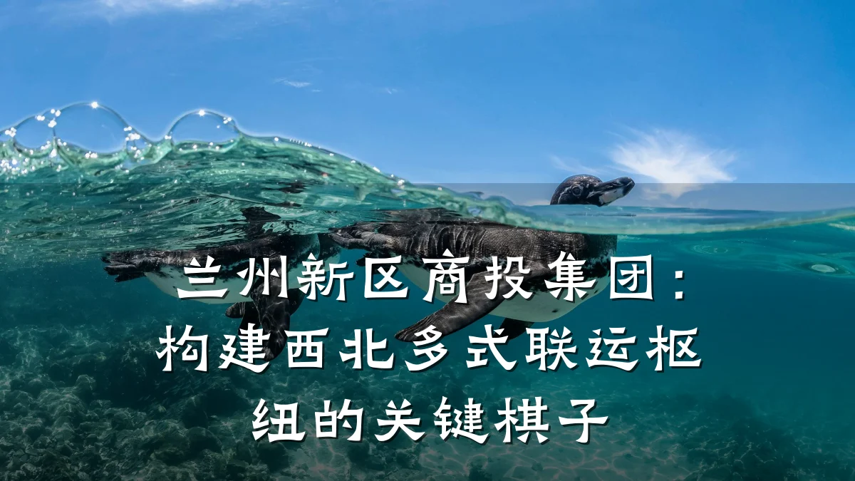 兰州新区商投集团:构建西北多式联运枢纽的关键棋子
