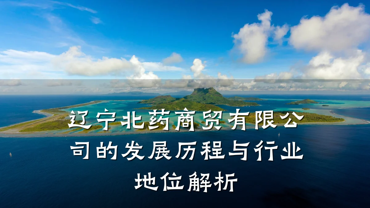 辽宁北药商贸有限公司的发展历程与行业地位解析