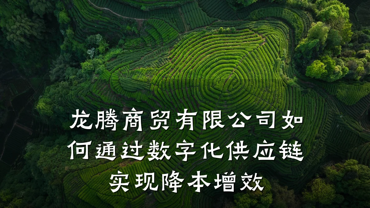 龙腾商贸有限公司如何通过数字化供应链实现降本增效