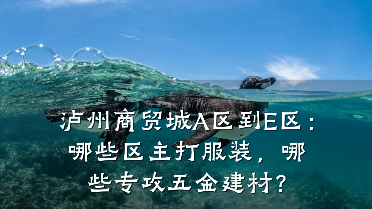 泸州商贸城A区到E区：哪些区主打服装，哪些专攻五金建材？
