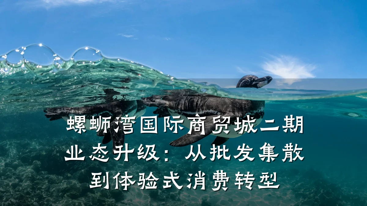 螺蛳湾国际商贸城二期业态升级:从批发集散到体验式消费转型