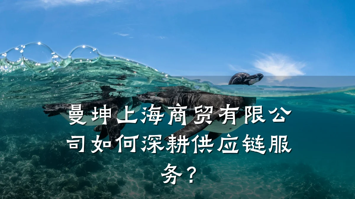 曼坤上海商贸有限公司如何深耕供应链服务？