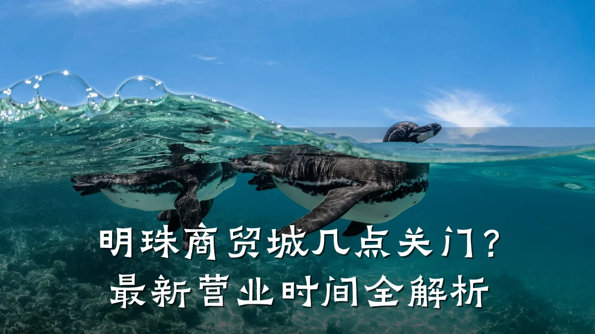 明珠商贸城几点关门?最新营业时间全解析