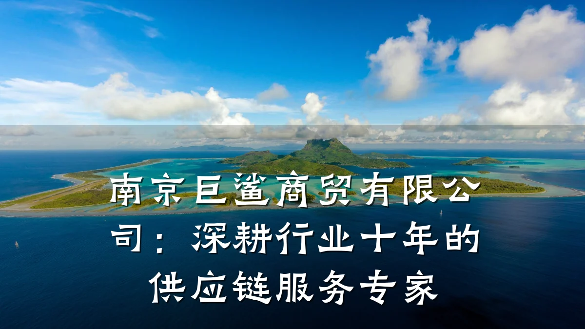 南京巨鲨商贸有限公司:深耕行业十年的供应链服务专家