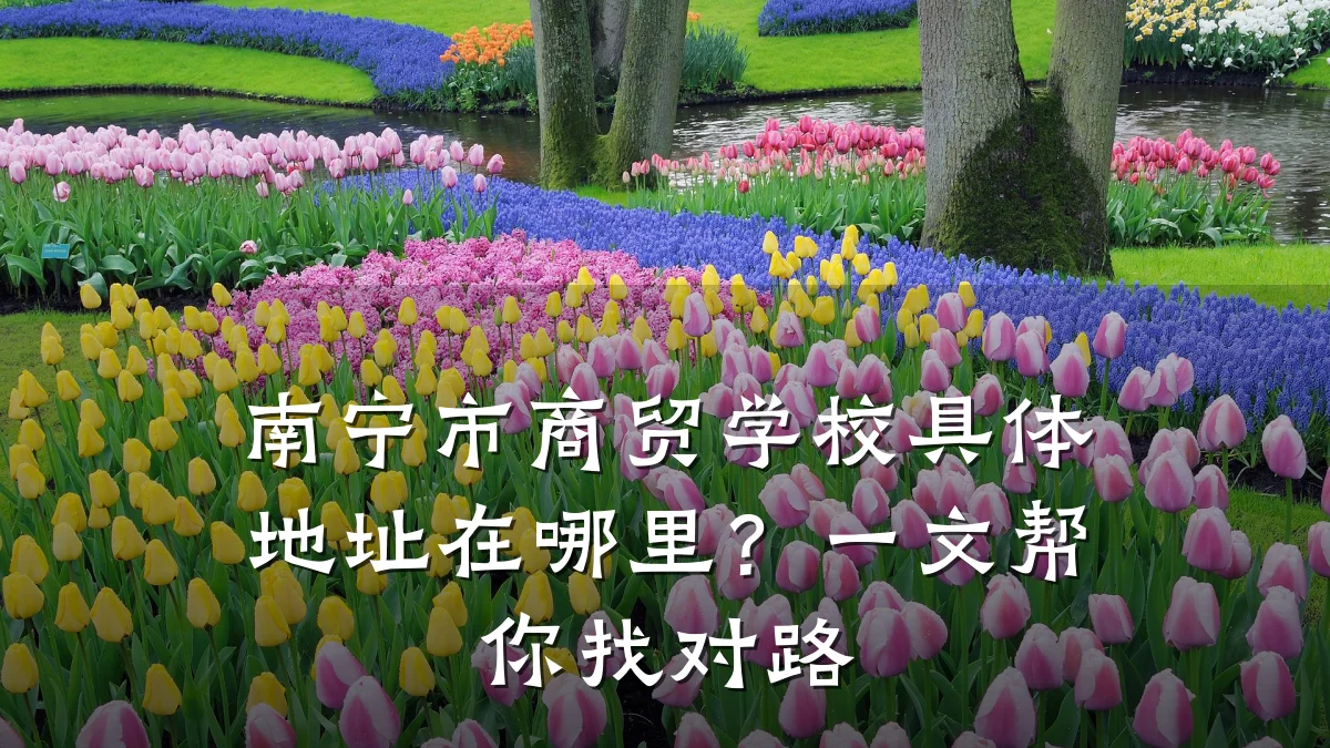 南宁市商贸学校具体地址在哪里？一文帮你找对路