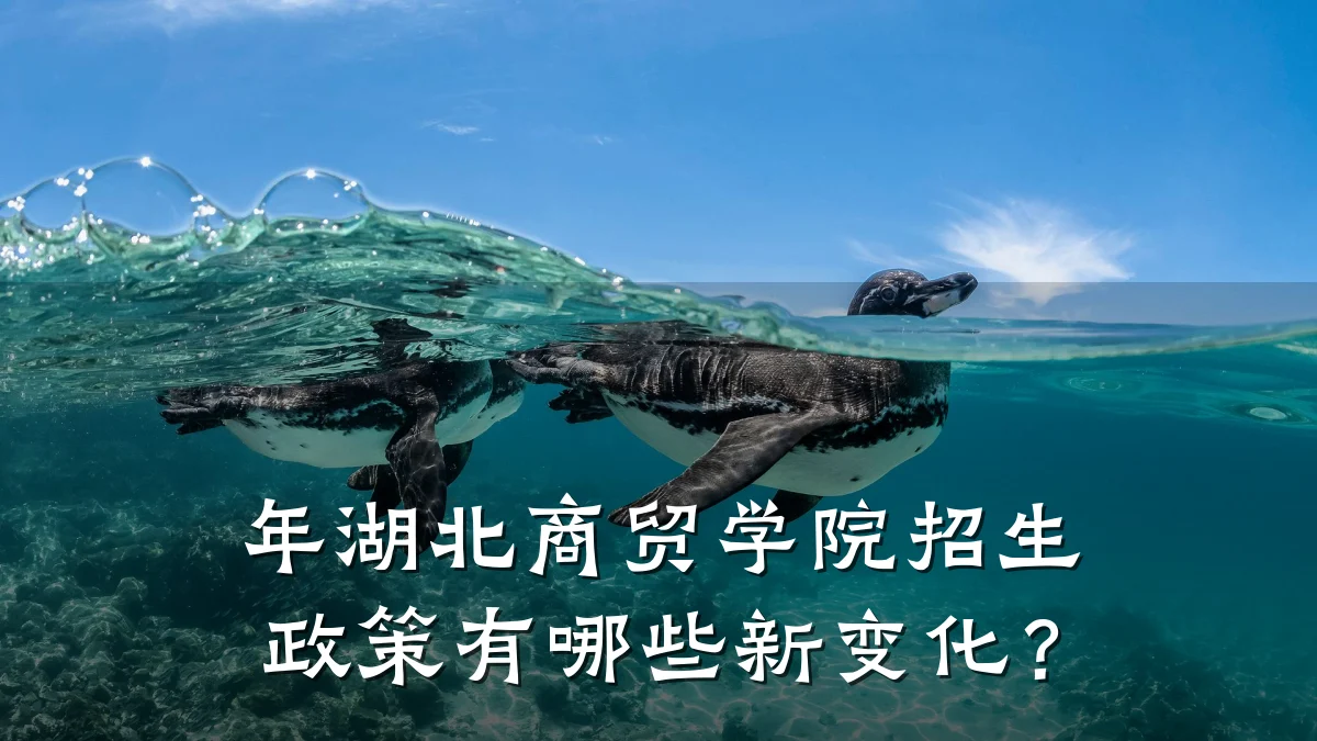 年湖北商贸学院招生政策有哪些新变化？