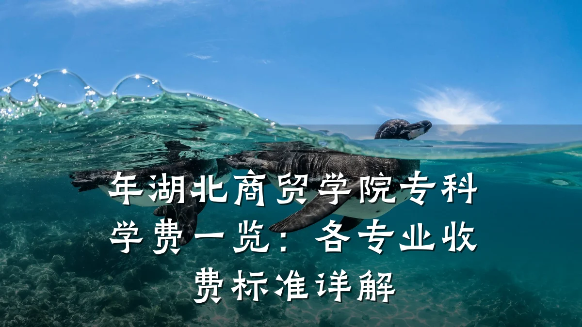 年湖北商贸学院专科学费一览:各专业收费标准详解