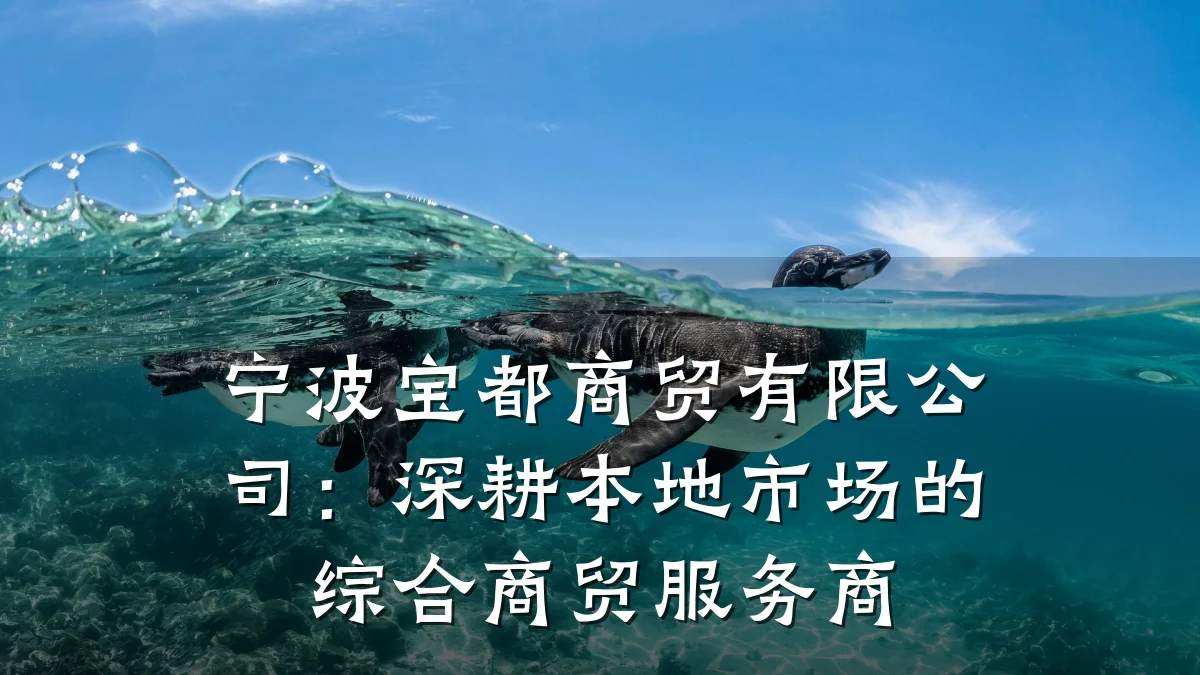 宁波宝都商贸有限公司:深耕本地市场的综合商贸服务商