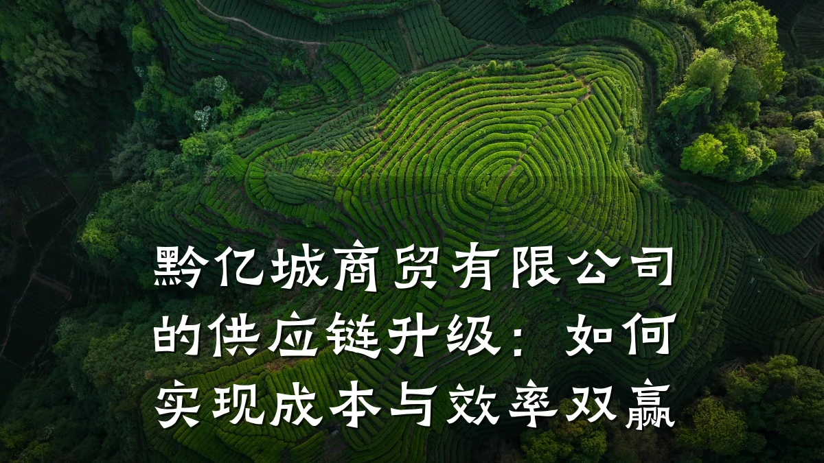 黔亿城商贸有限公司的供应链升级:如何实现成本与效率双赢