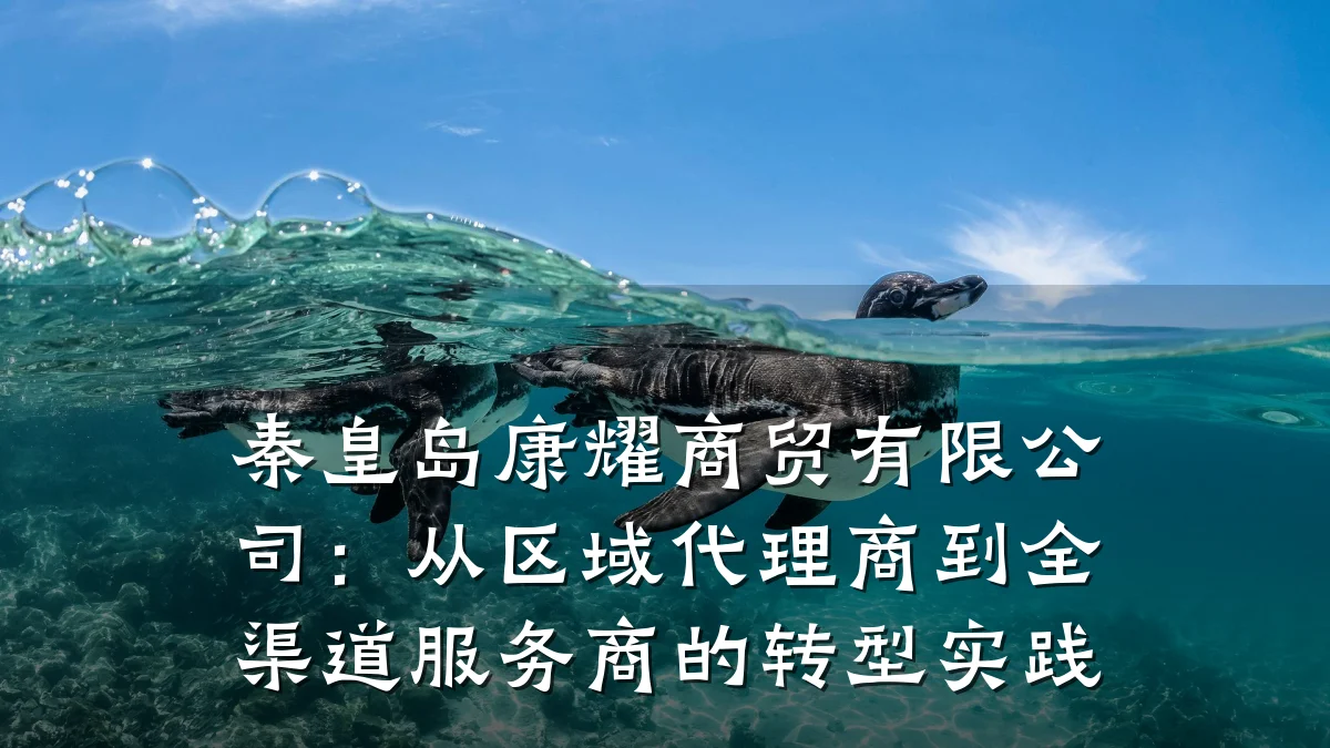 秦皇岛康耀商贸有限公司:从区域代理商到全渠道服务商的转型实践