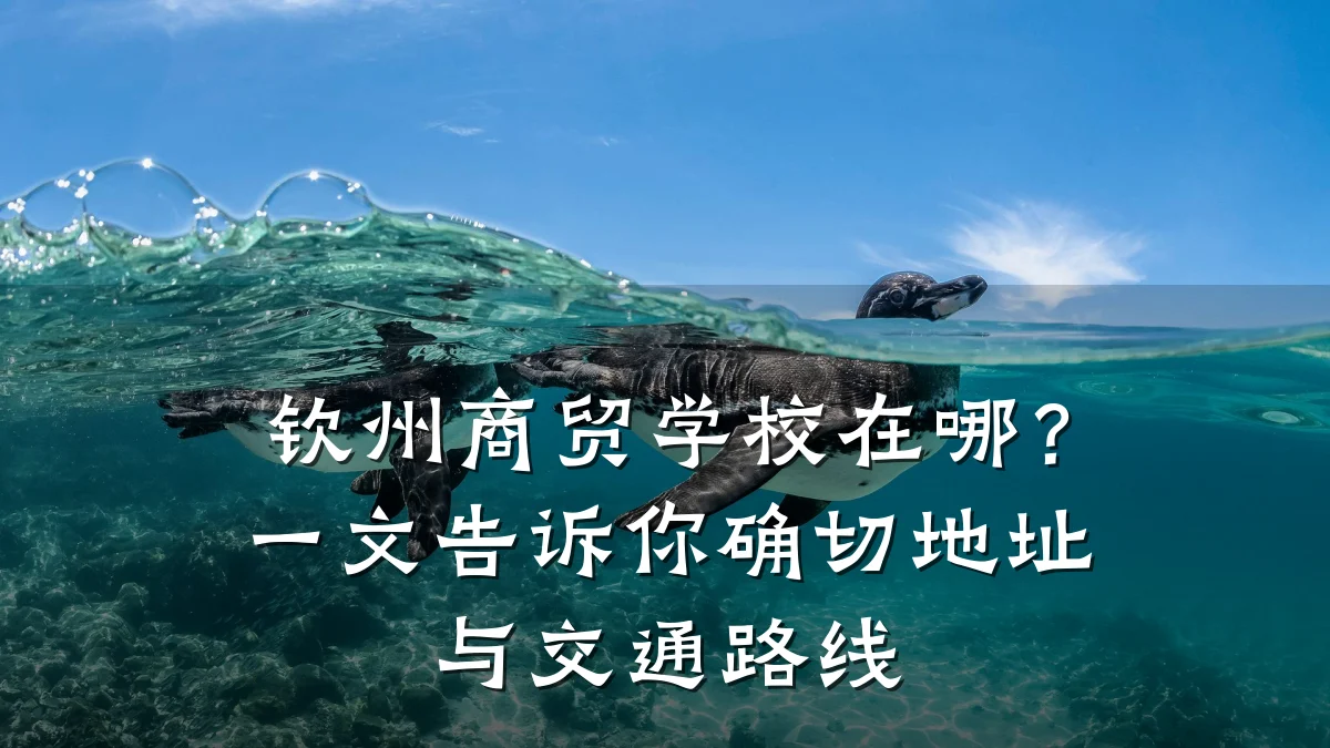 钦州商贸学校在哪？一文告诉你确切地址与交通路线