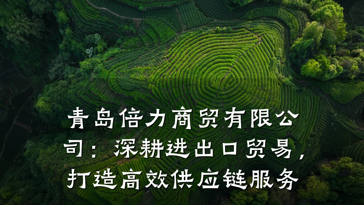 青岛倍力商贸有限公司:深耕进出口贸易,打造高效供应链服务