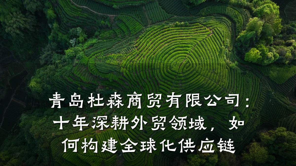 青岛杜森商贸有限公司：十年深耕外贸领域，如何构建全球化供应链